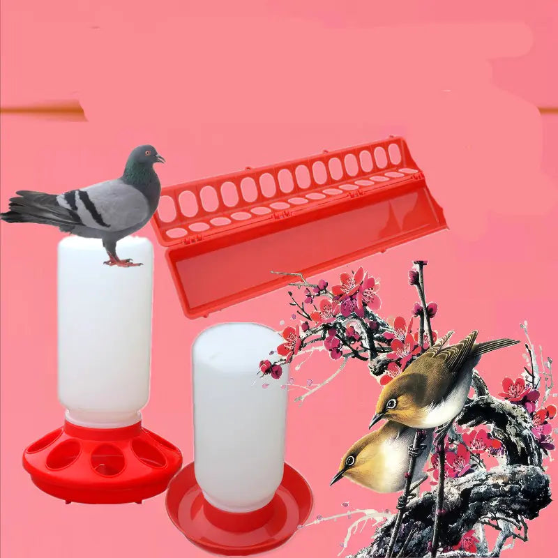 Bird Waterer and Feeder for Pigeons