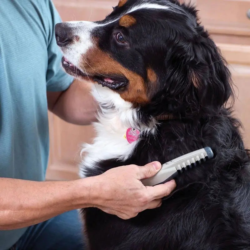 Electric Home Pet Groomer