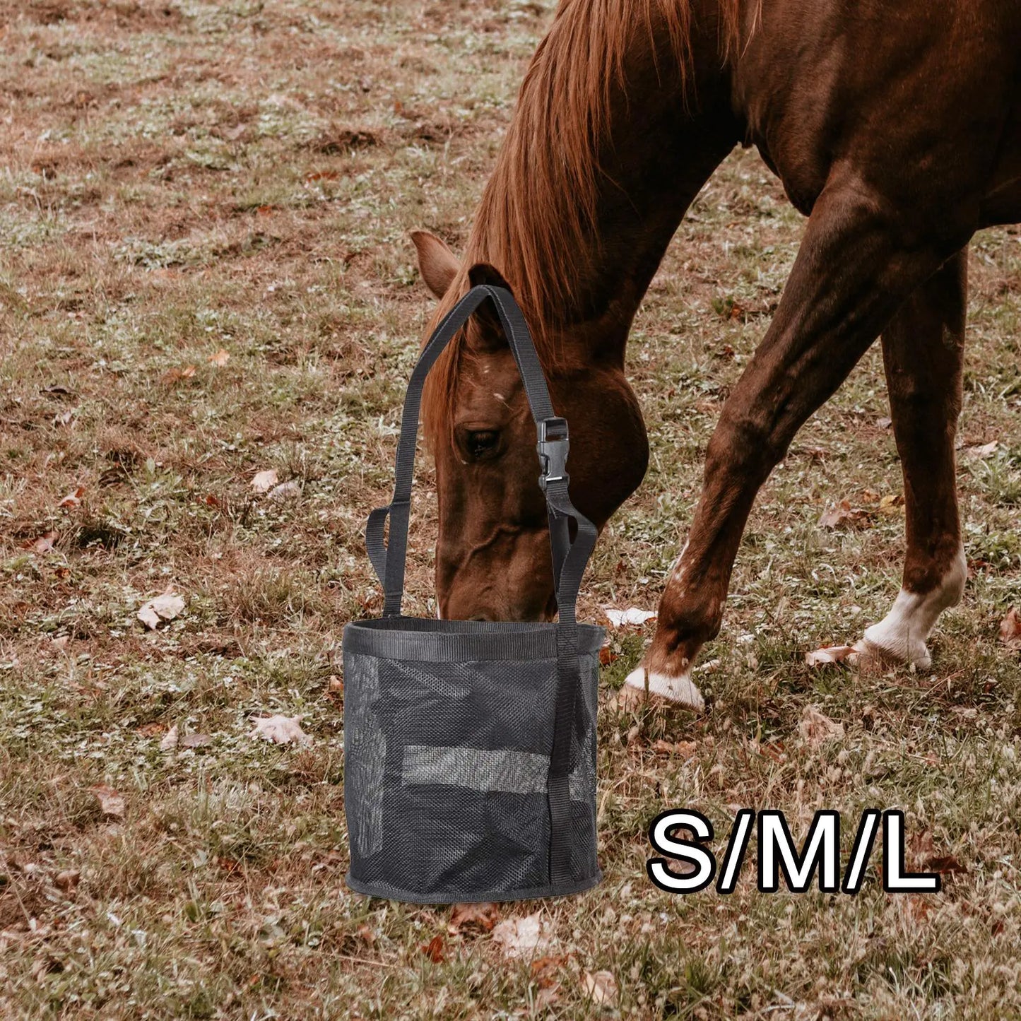 Adjustable Multi-Size Black and Blue Horse Feed Bag