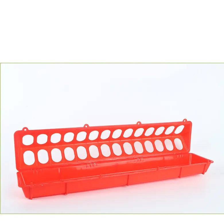 Bird Waterer and Feeder for Pigeons
