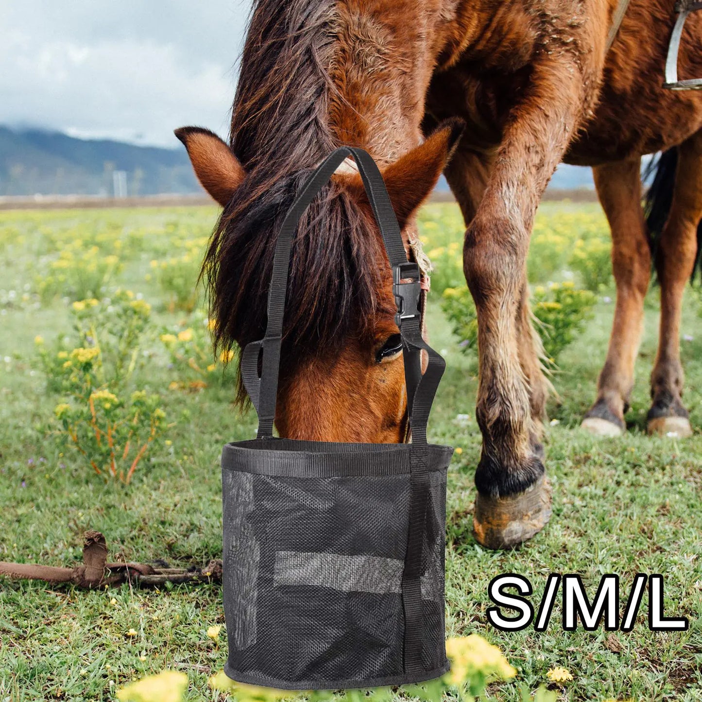 Adjustable Multi-Size Black and Blue Horse Feed Bag