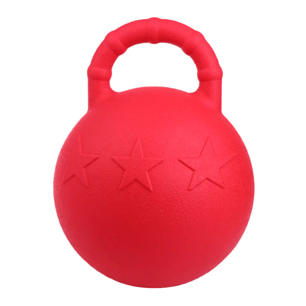 Resilient Play Horse Training Ball