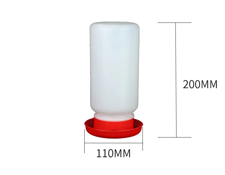Bird Waterer and Feeder for Pigeons
