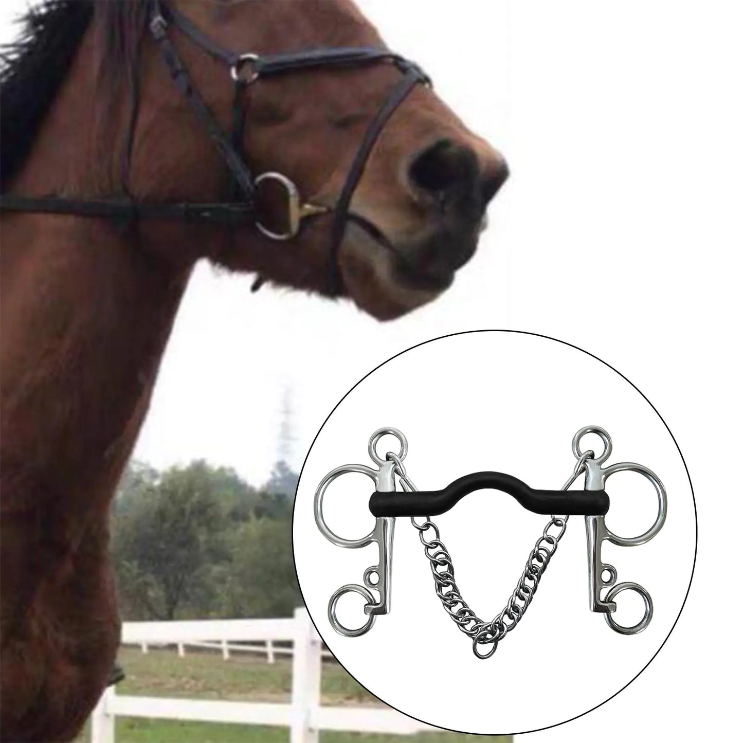 Stainless steel horse bit