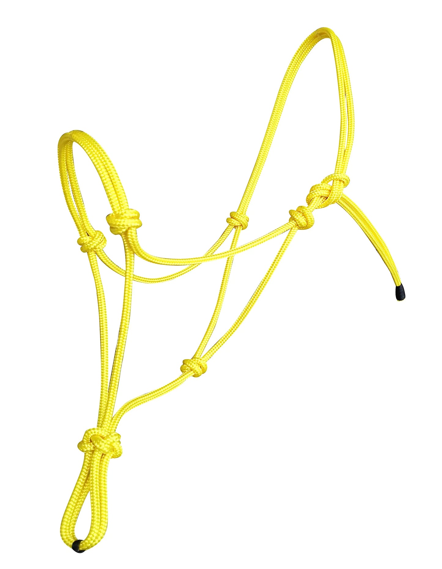 Equine Natural Rope Halters - 10 Sizes & Colors