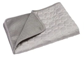 Summer Chill Pet Ice Silk Mat
