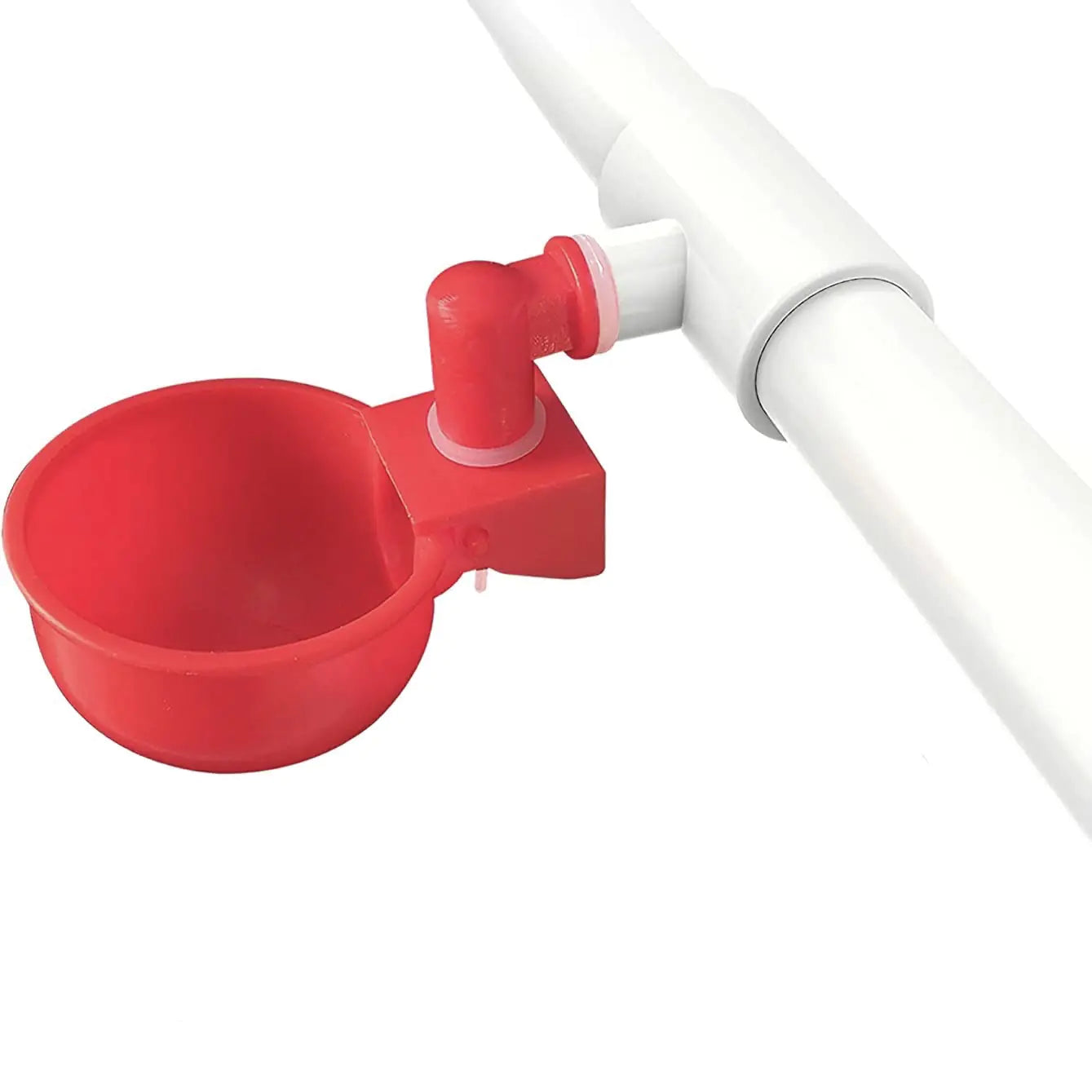 Automatic Poultry Water Bowl and Chicken Drinker