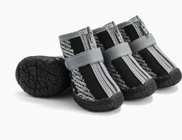 Animal Footwear