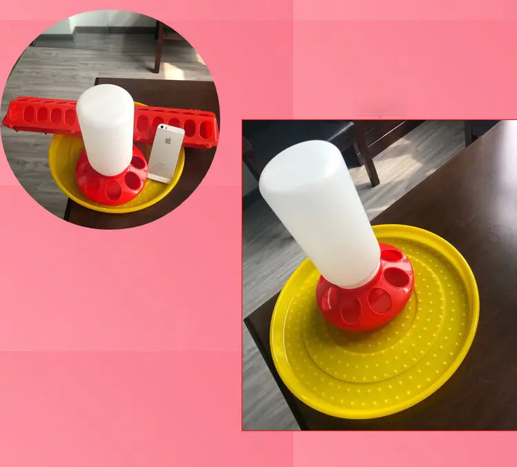 Bird Waterer and Feeder for Pigeons