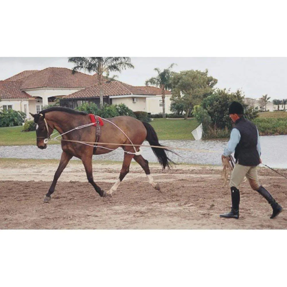Equine Training Lunging Gear
