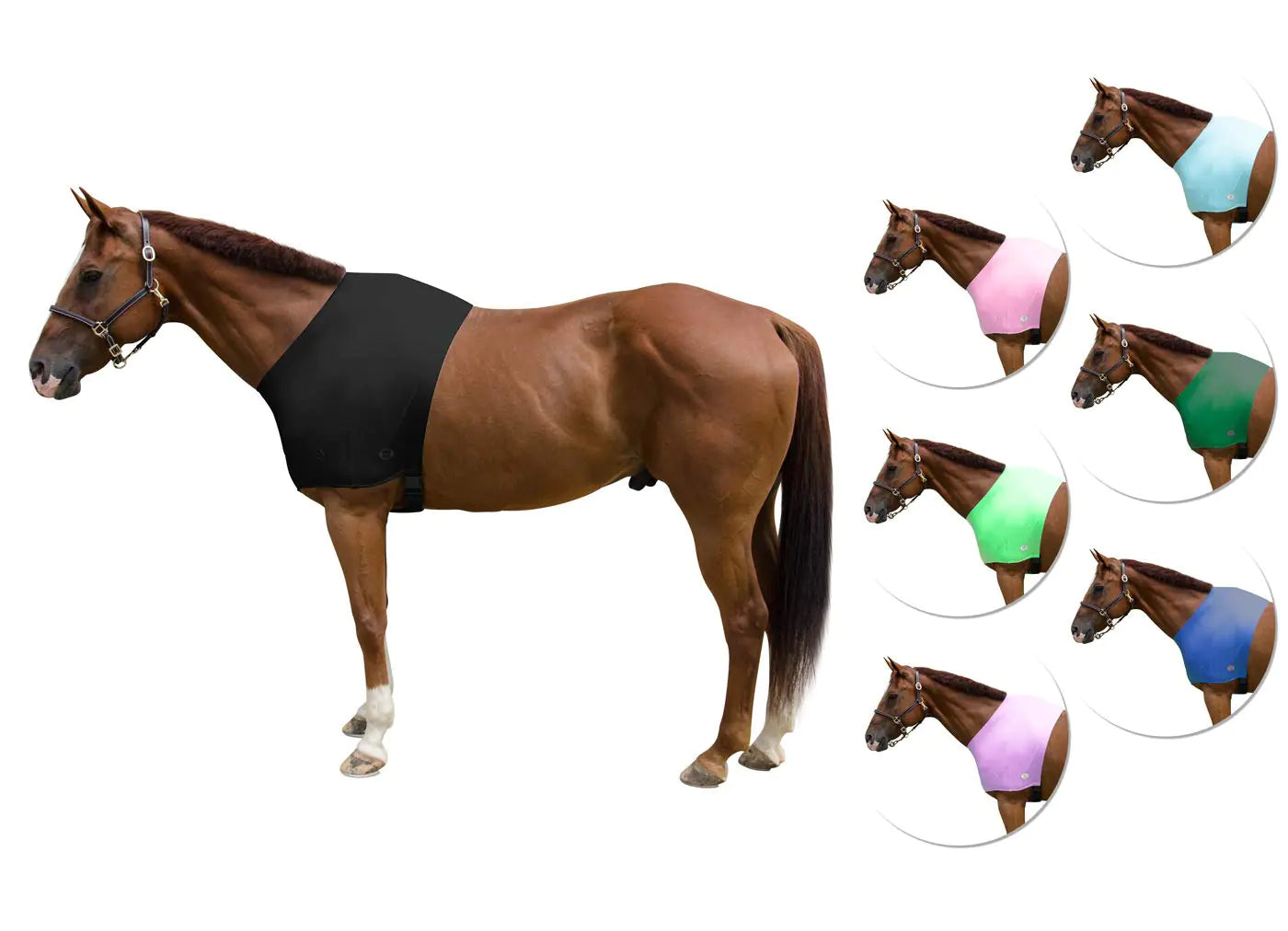 EquiFlex Lycra Horse Shoulder Guard