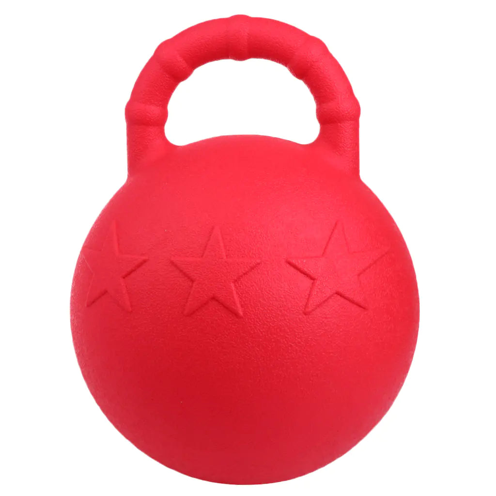 Resilient Play Horse Training Ball