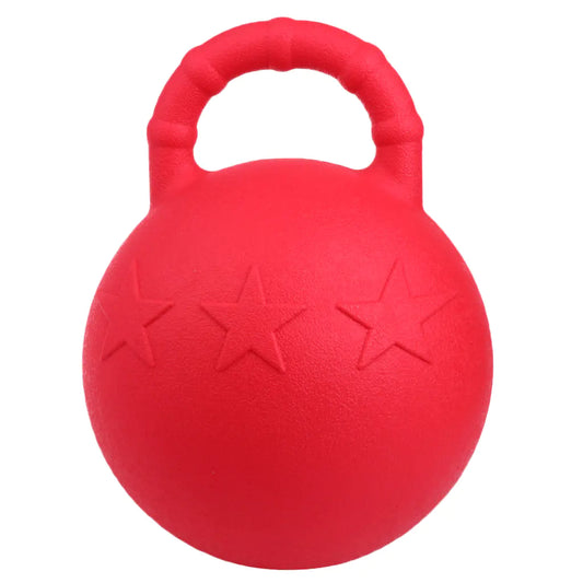 Resilient Play Horse Training Ball