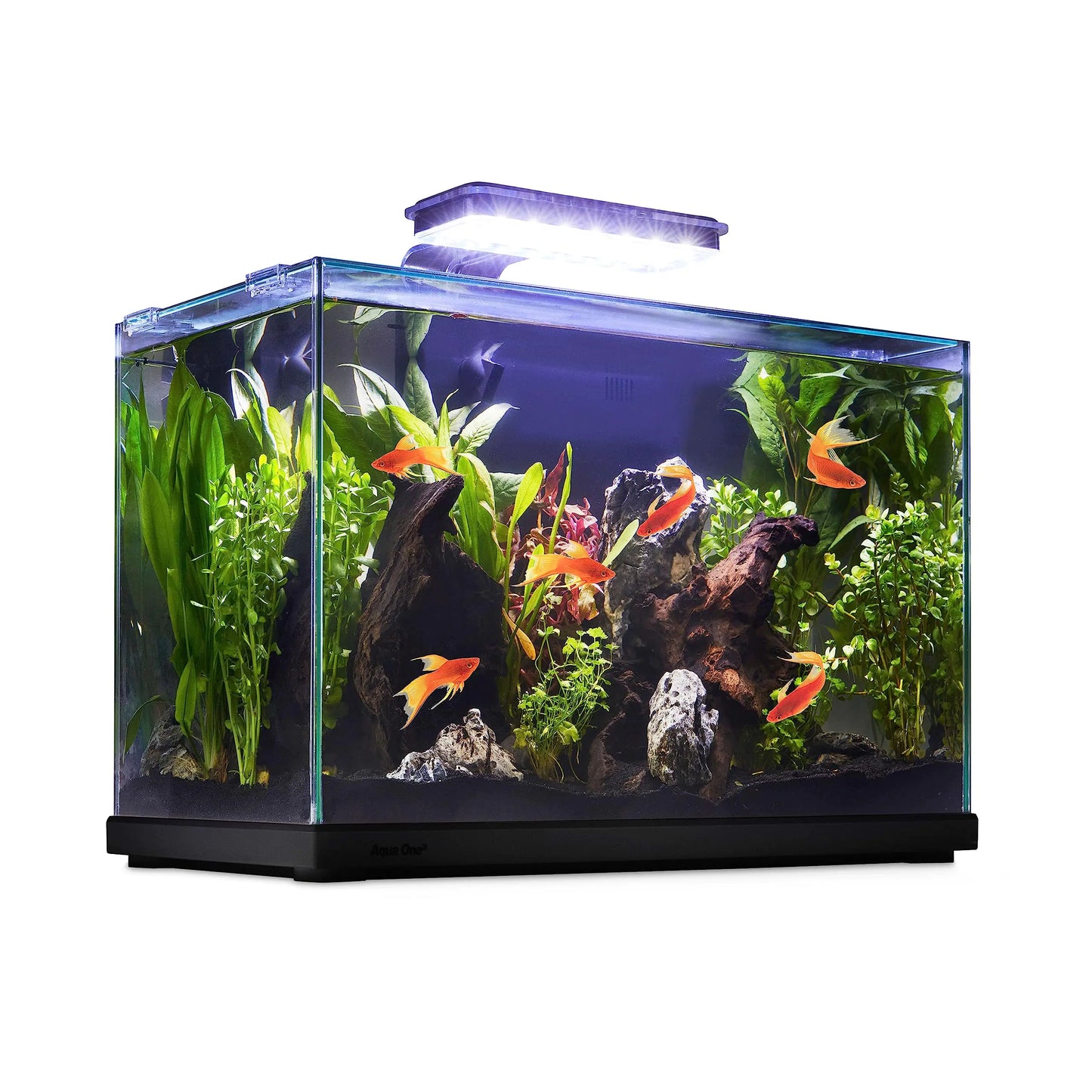 VersaGlass 9.5-Gallon Aquarium