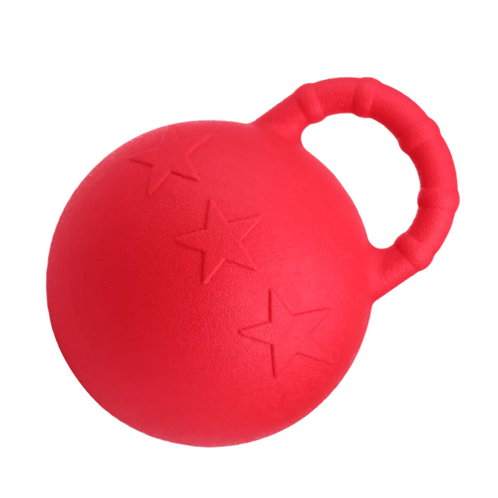 Resilient Play Horse Training Ball