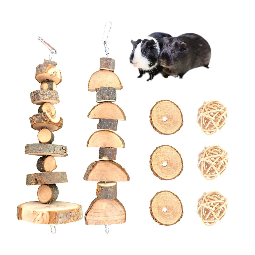 EcoPure Woodland Chew Toys for Small Pets