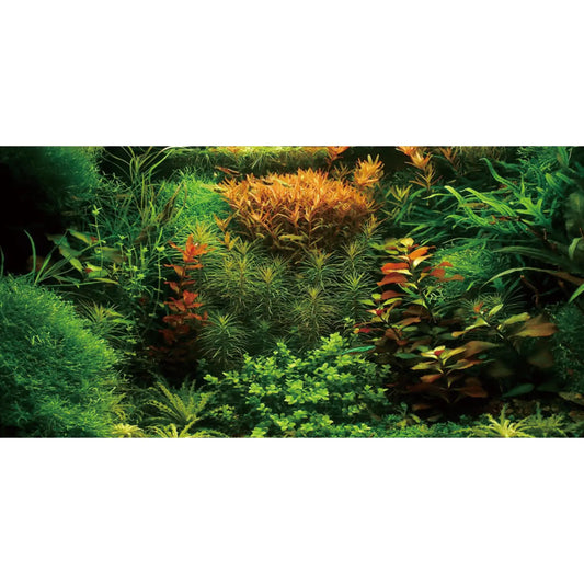 AWERT 36x20 Seagrass & River Aquarium Backdrop