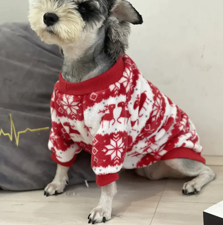 Festive Furry Friend Sweater