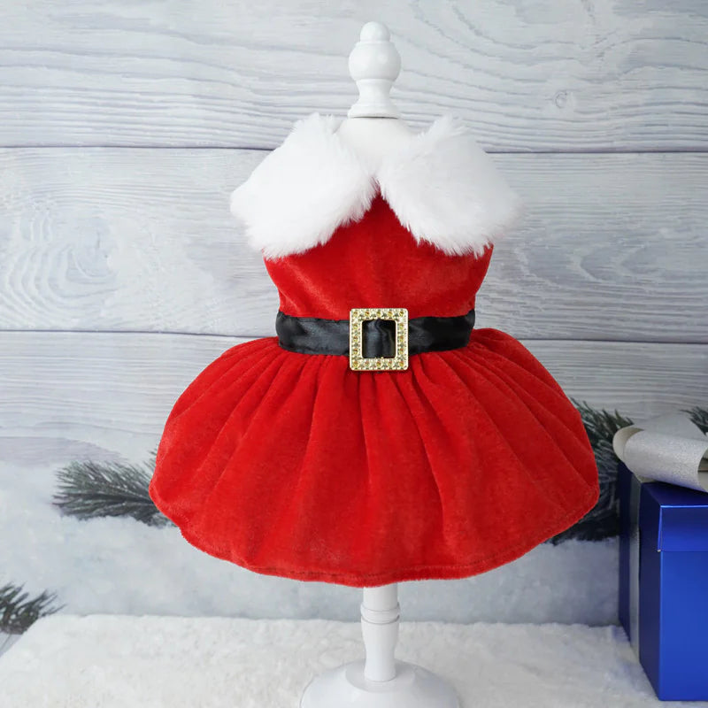 Holiday Pet Velvet Ensemble