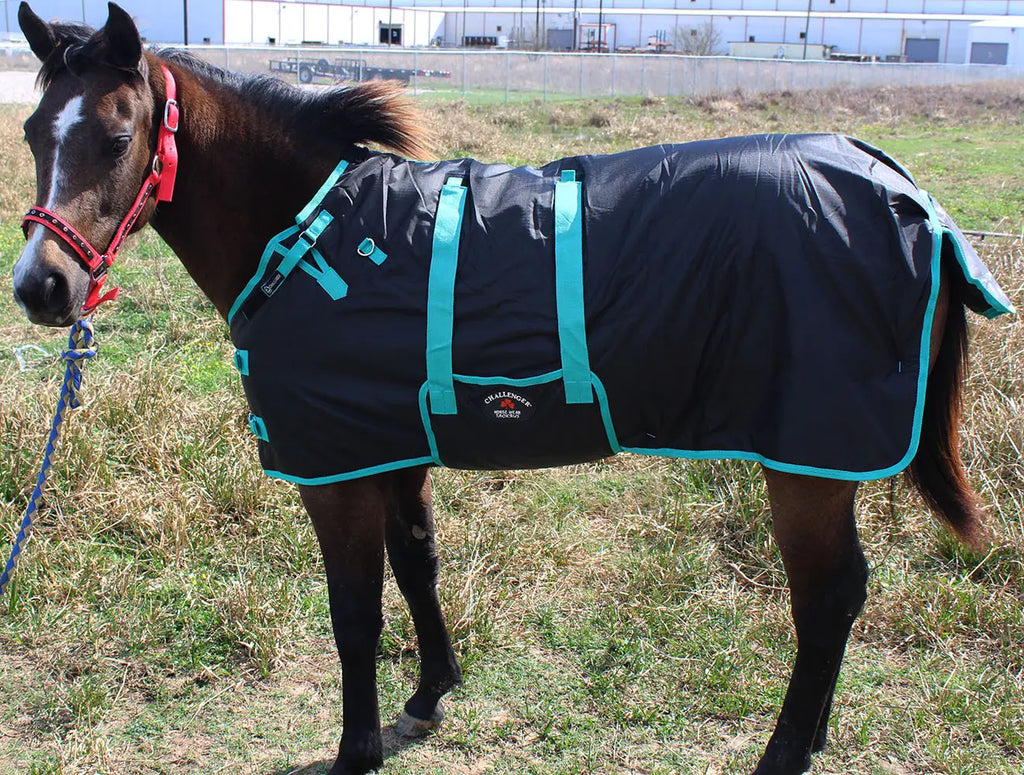 CHALLENGER 42" 1200D Miniature Weanling Donkey Pony Horse Foal Winter Blanket Teal 51945