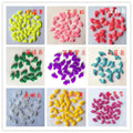 PawSafe Nail Protectors for Pets