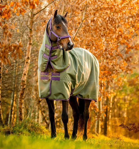 Horseware® Amigo® Hero Ripstop Plus Turnout (0g Light)