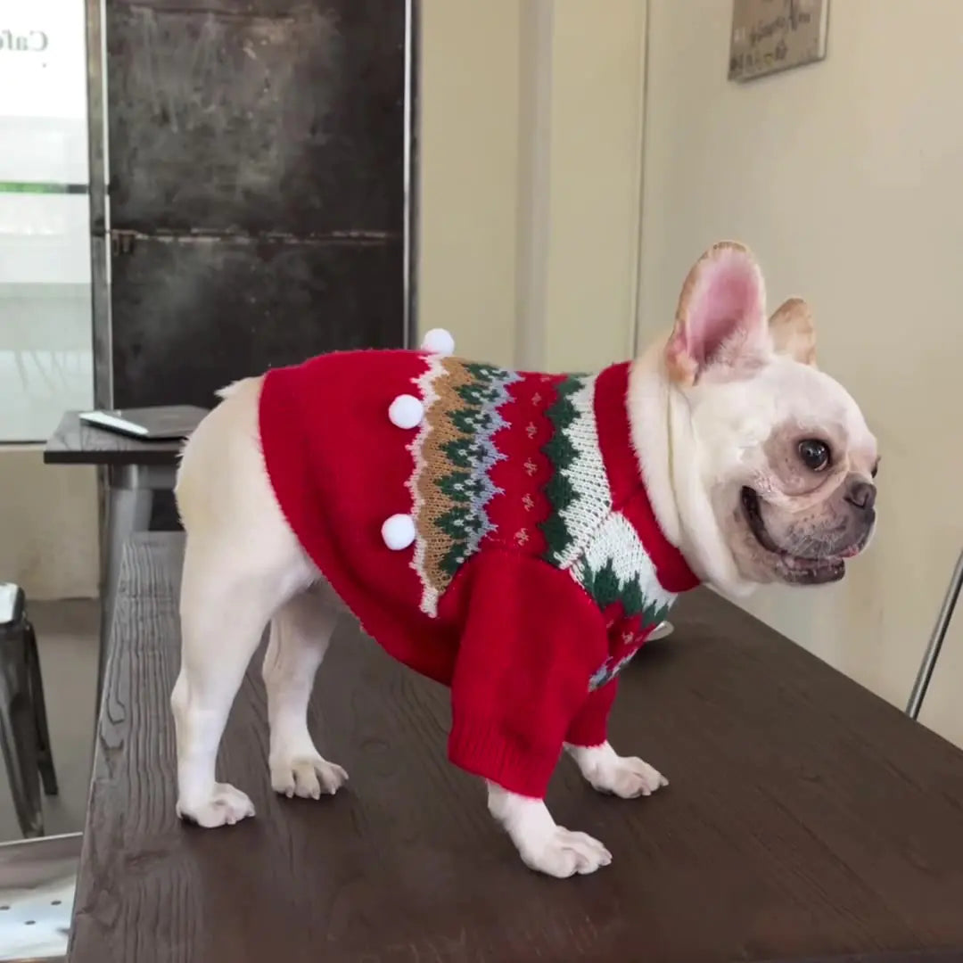 Holiday Cheer Pet Sweater for Cats & Dogs