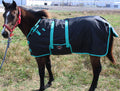 CHALLENGER 42" 1200D Miniature Weanling Donkey Pony Horse Foal Winter Blanket Teal 51945