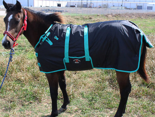 CHALLENGER 42" 1200D Miniature Weanling Donkey Pony Horse Foal Winter Blanket Teal 51945