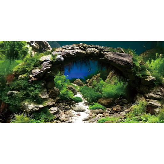 AWERT Riverbed & Lake 24x12in Vinyl Aquarium Background