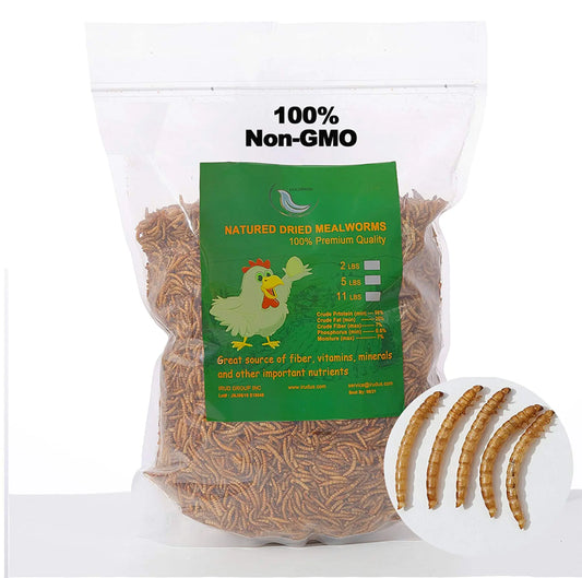 WORKPOINT Pure Non-GMO Dried Mealworms, 6LB - All-Natural Bird & Pet Treats