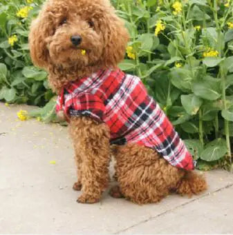 Chic Pet Plaid Shirt