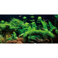 AWERT 24x12 River & Lake Aquarium Vinyl Background