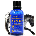 HealthyAnimals4Ever All-Natural Horse Laminitis Support - Horse Hoof Care Products for Damaged or Injured Hooves - Hoof Supplements for Horses - Homeopathic & Highly Effective - 300 Tablets