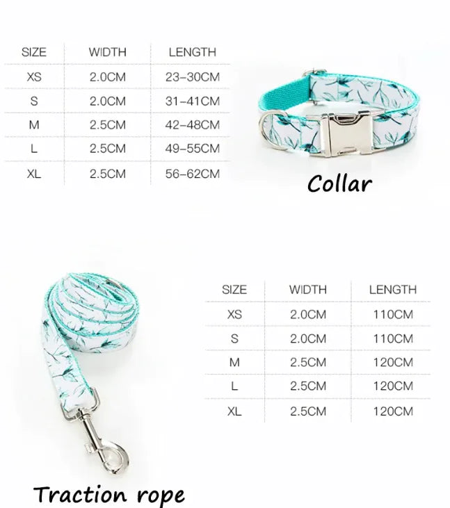 Pet Leash