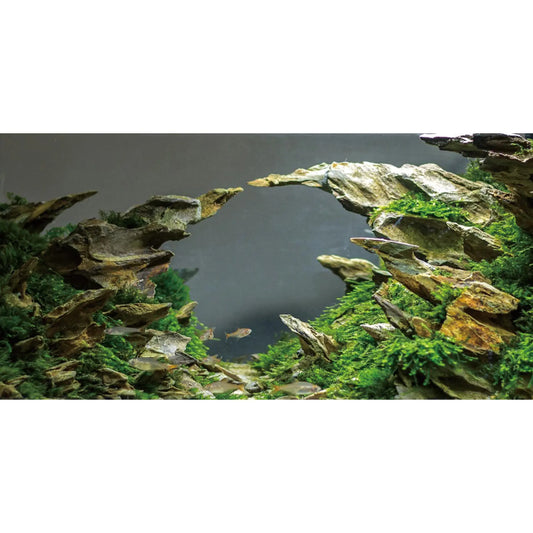 AWERT Stone River 36x20 Aquarium Backdrop