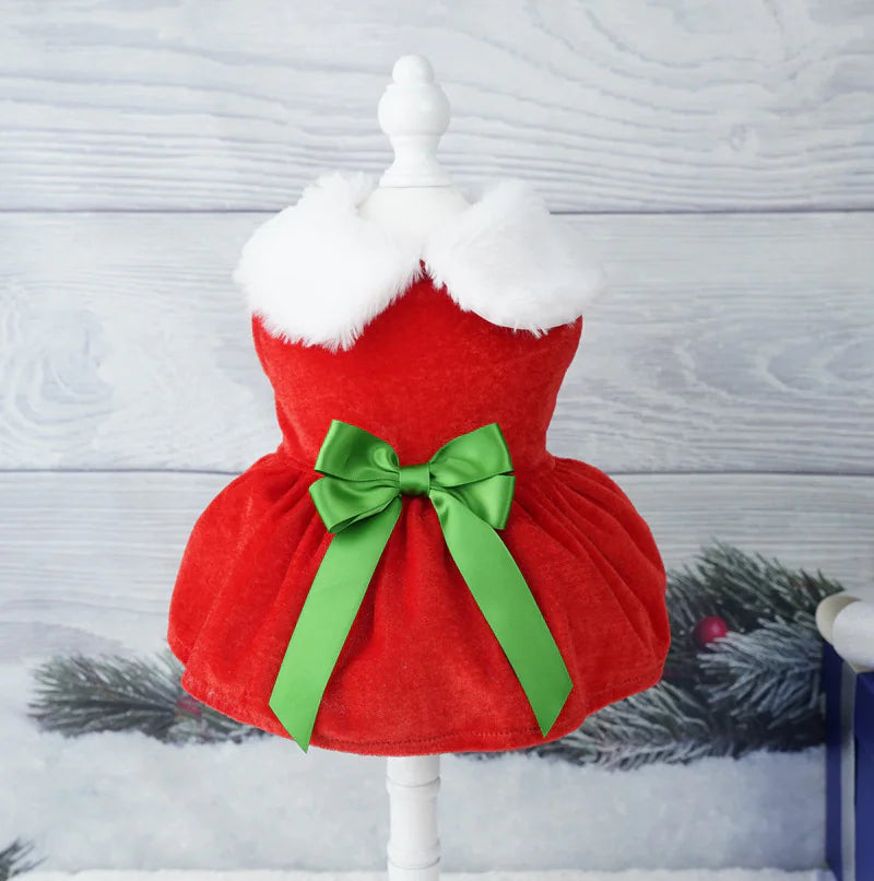 Holiday Pet Velvet Ensemble