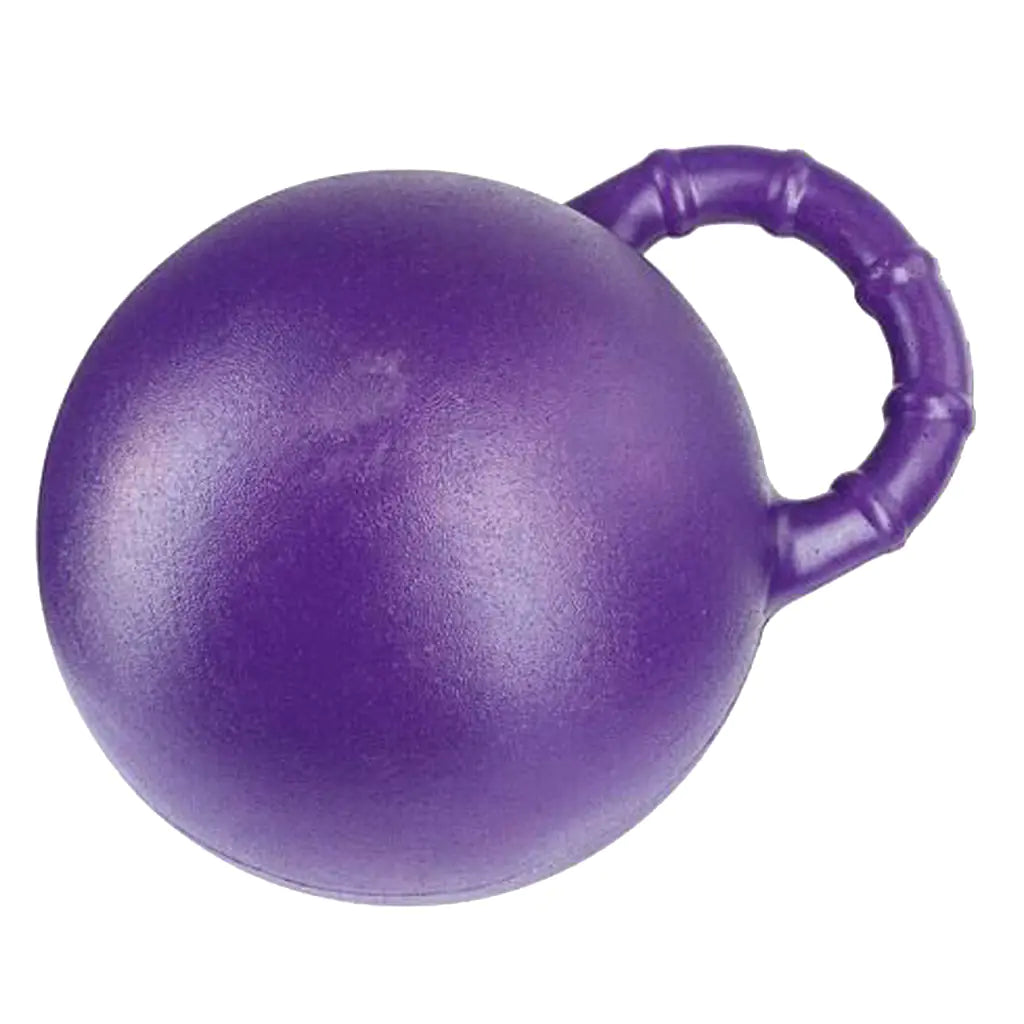 Resilient Play Horse Training Ball