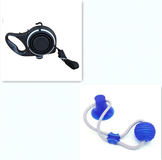Hydrating Pet Leash Kit