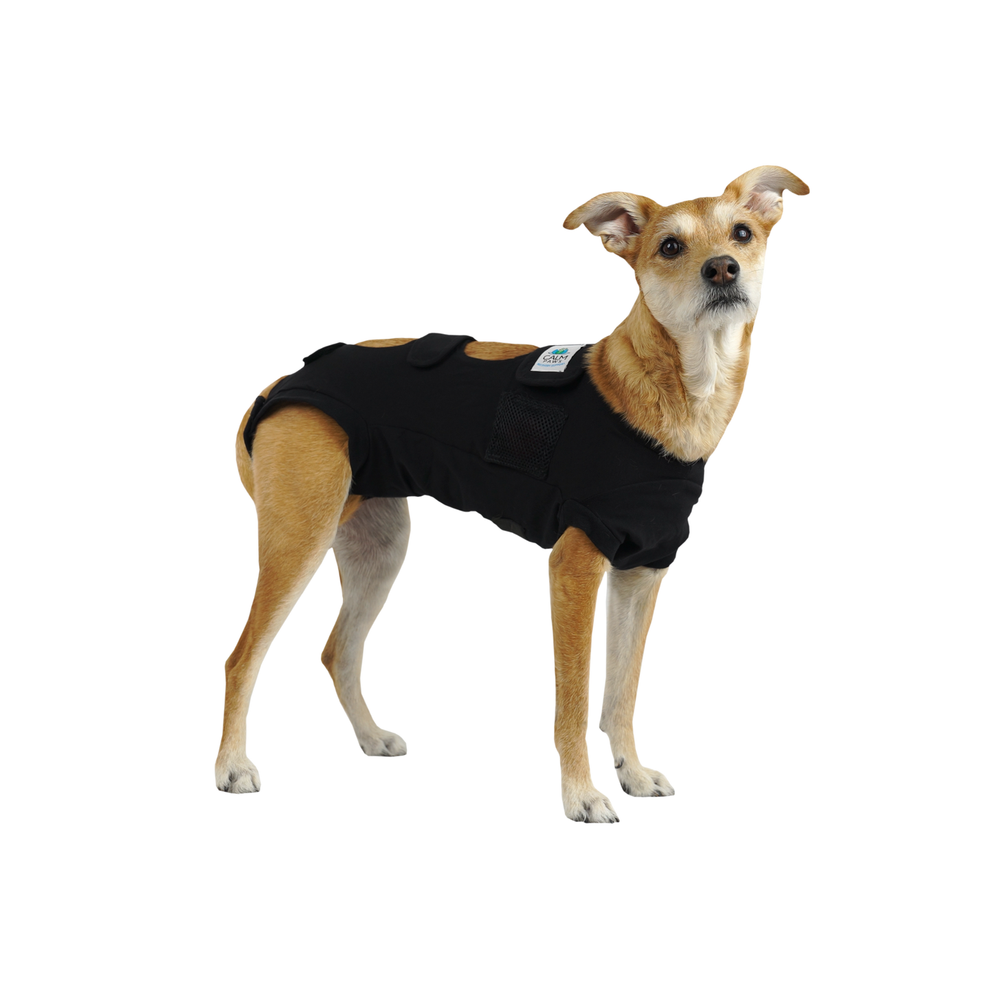RECOVERY VEST