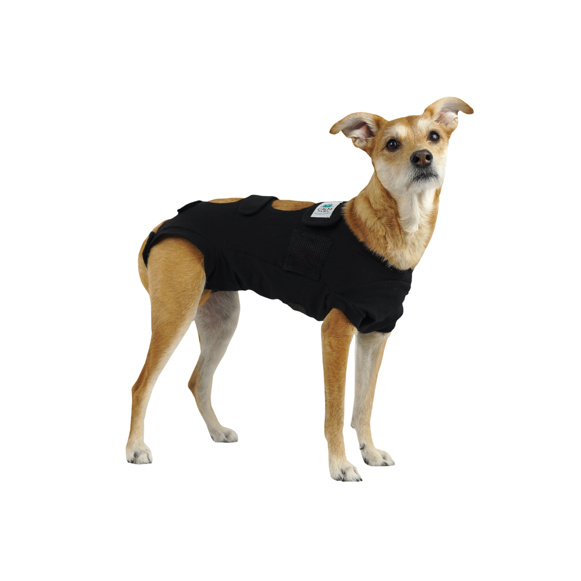 RECOVERY VEST