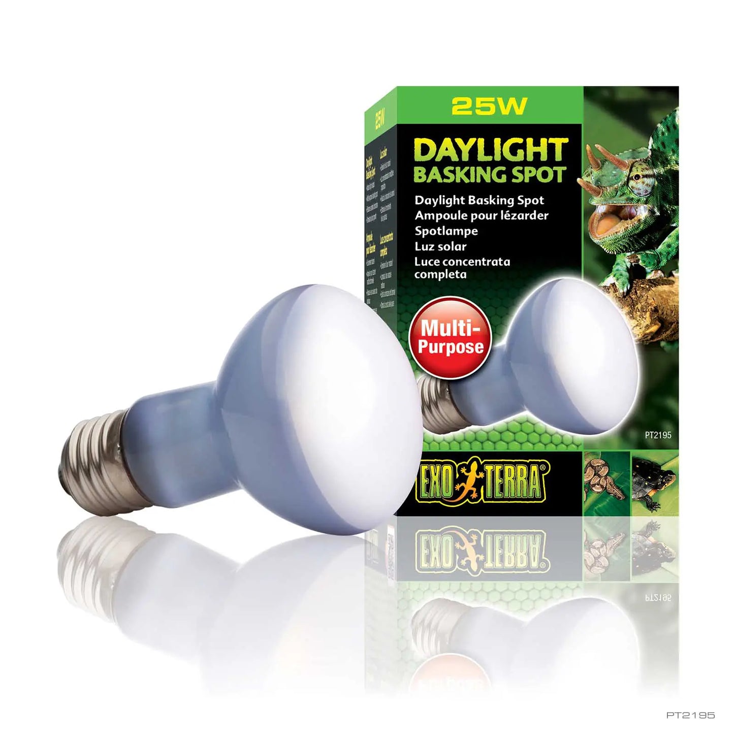 DAYLIGHT BASKING SPOT