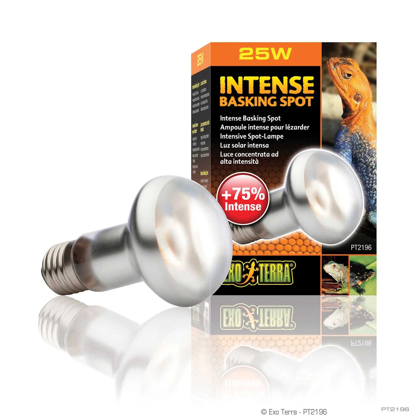 INTENSE BASKING SPOT