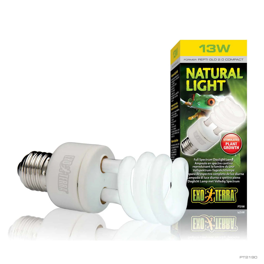 NATURAL LIGHT COMPACT