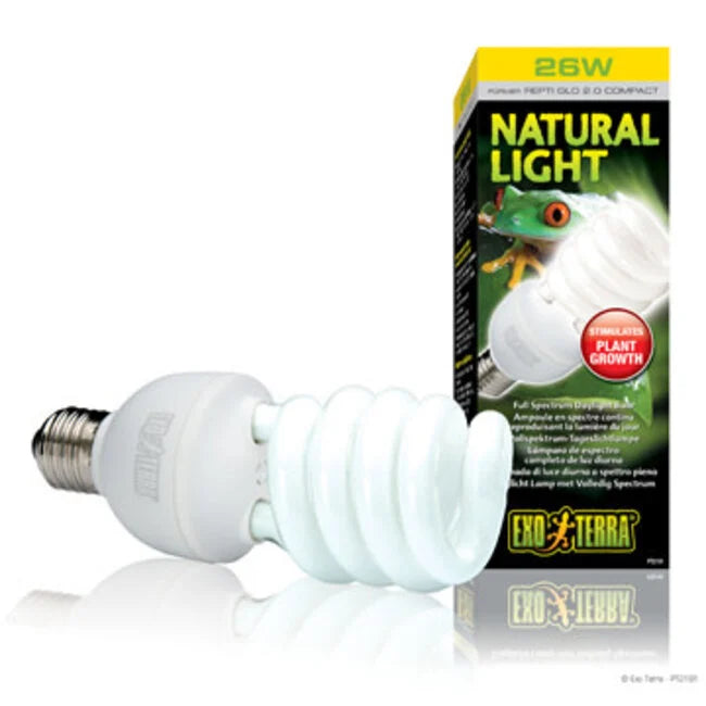 NATURAL LIGHT COMPACT