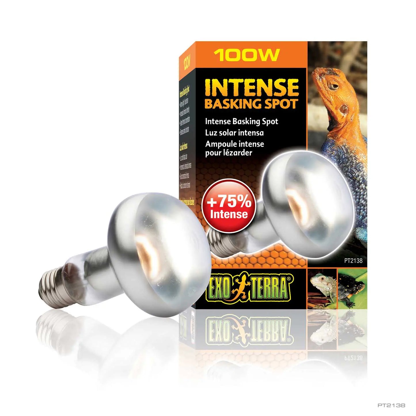 INTENSE BASKING SPOT