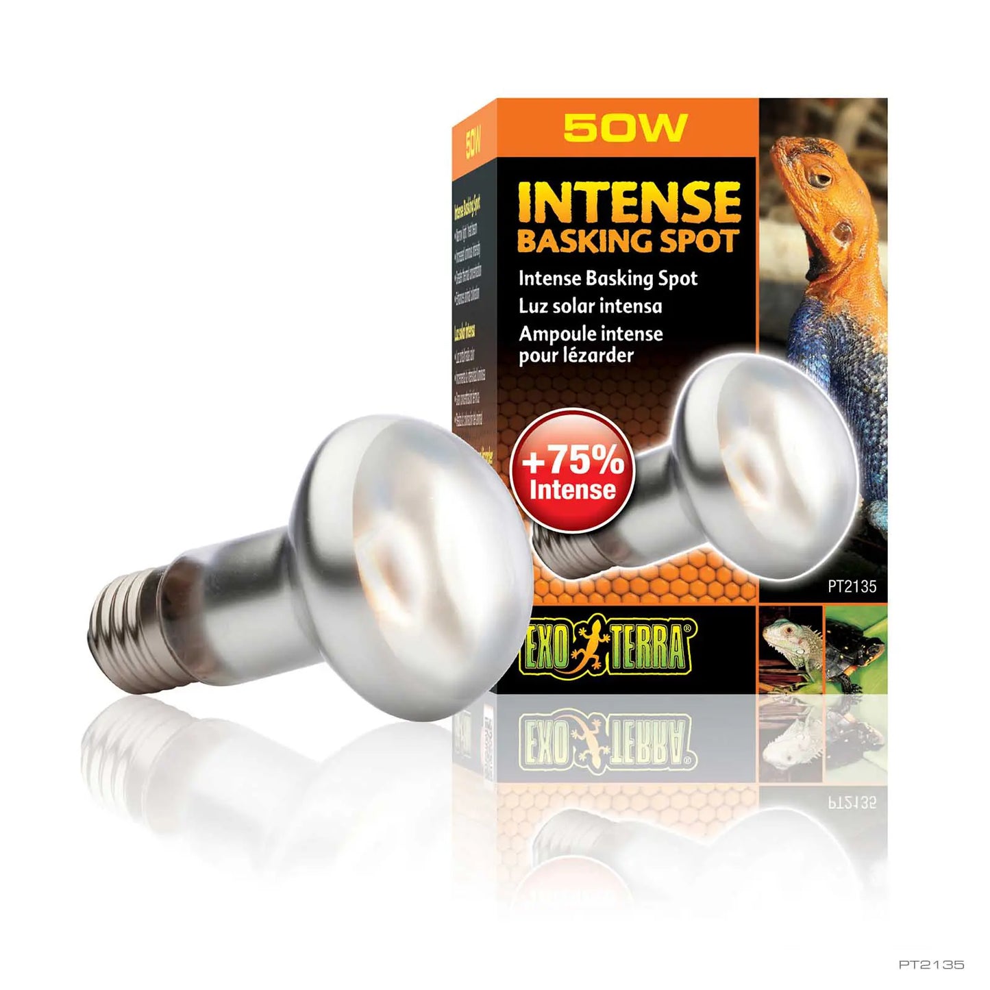 INTENSE BASKING SPOT