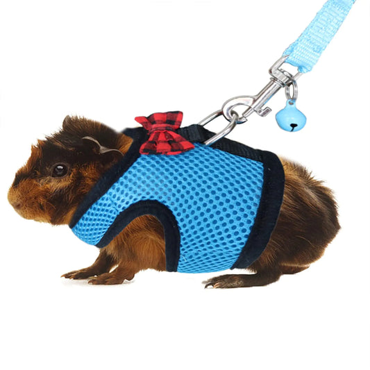 Rypet Guinea Pig Harness and Leash
