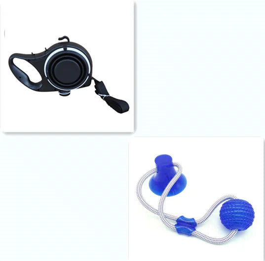 Hydrating Pet Leash Kit