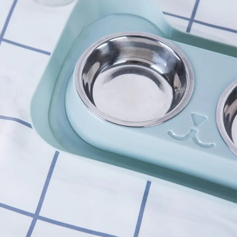 Dual Steel Pet Feeding Station